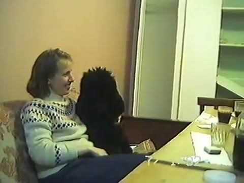 Лагерь "Лесная Сказка" 1992г. Рождество. Часть - 2 (Когда дети легли спать) (VHS) смотреть онлайн
