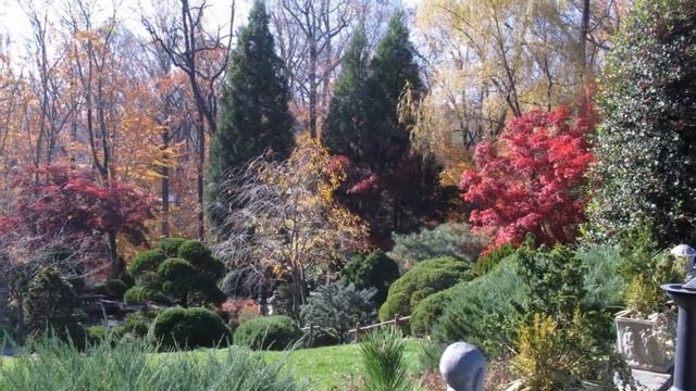 Hillwood Museum Gardens in November смотреть онлайн