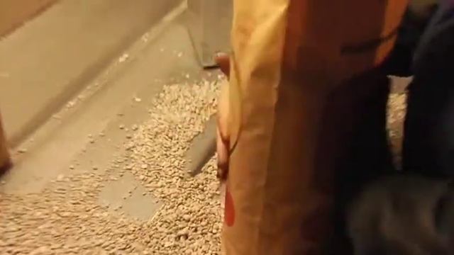 Наполнитель для кошачьих туалетов целлюлозный смотреть онлайн