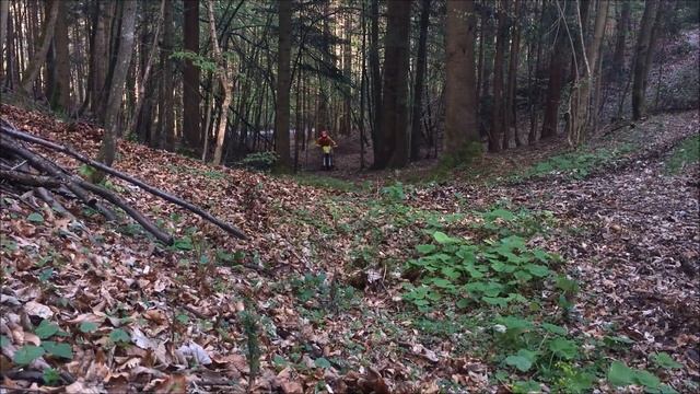 Suzuki rmz 450 | Spring off road смотреть онлайн