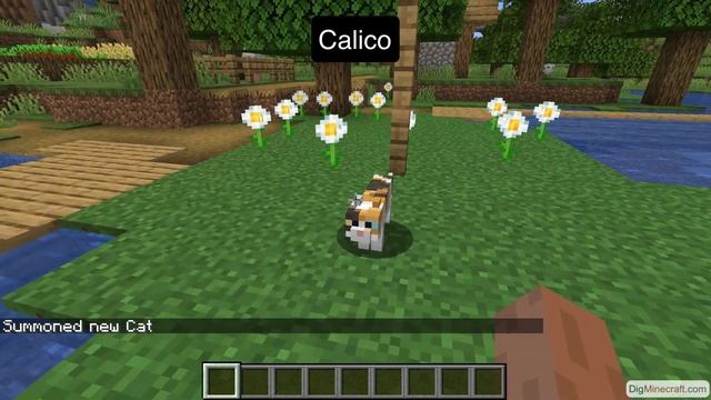 Types of Cats in Minecraft (Village & Pillage Update) смотреть онлайн