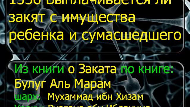 1536 Выплачивается ли закят с имущества ребенка и сумасшедшего смотреть онлайн