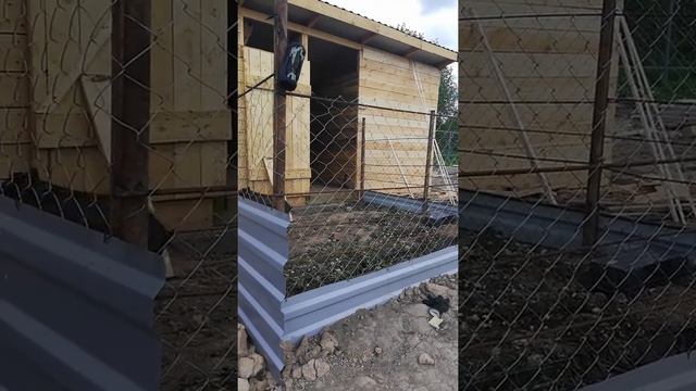 Чёрные свиньи смотреть онлайн