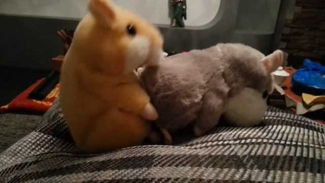 Хомячков развожу смотреть онлайн