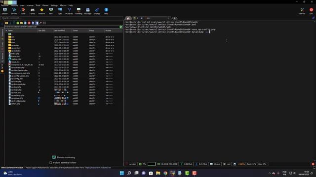 Como Fazer Backup do meu site Wordpress via SSH root смотреть онлайн