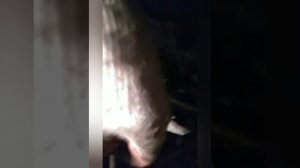 Замена стойки стабилизатора Рено симбол