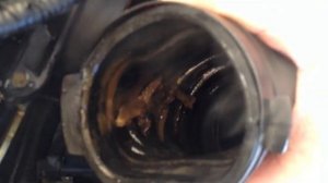 Чистка дроссельной заслонки мазда3 2.0 Ремонт своими руками