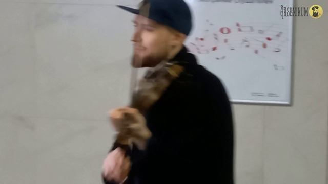 Любопытный факт: многие скрипачи любят играть «Куклу колдуна»... смотреть онлайн