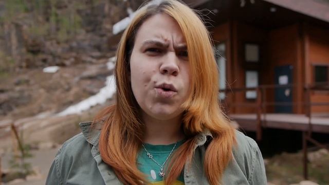 Работа с определителем: На что следует обращать внимание при встрече с незнакомой птицей смотреть онлайн