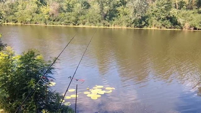 Рыбалка на реке Псел 1.07.2022 смотреть онлайн