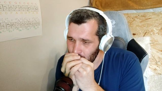 Steve Baker - 5th Demension. Harmonica . смотреть онлайн