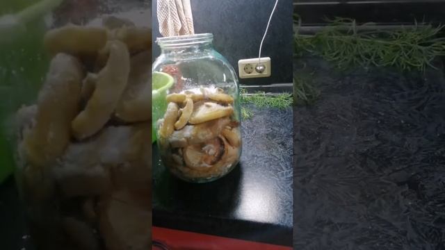 Как солить грибы, грузди и беляки. Рецепт в видео смотреть онлайн