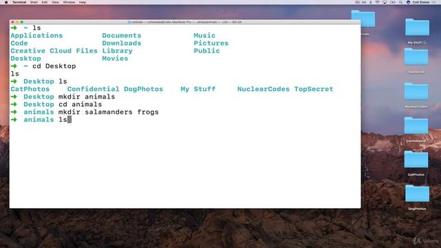 Quick Activity Salamanders and Frogs | Coding for Kids Python Learn to Code with 50 Awesome Games смотреть онлайн