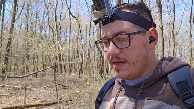 Springtime Marble Salamander in West Tennessee! #herping #salamander #Tennessee смотреть онлайн