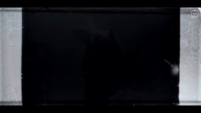 Эволюция бактерий в реальном времени [Kishony Lab] смотреть онлайн