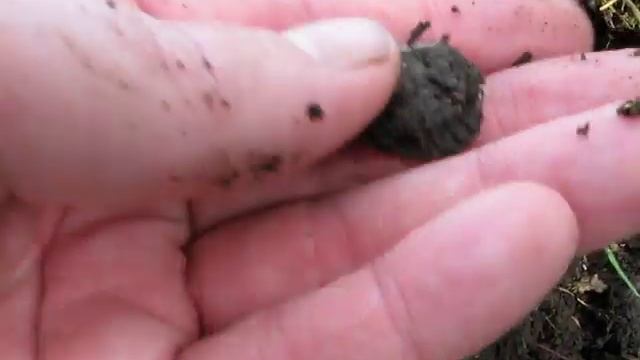 Coin Hunting With The Minelab Explorer SE