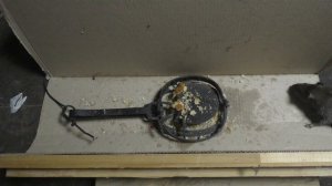 #1. Охота на крыс с КАПКАНОМ. 18+ Полная версия в описание