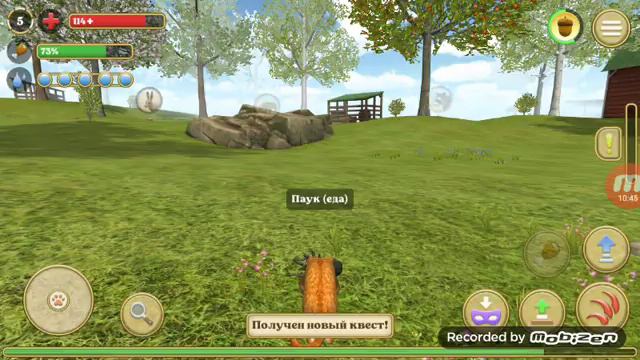 играем в симулятор кота и кошки смотреть онлайн