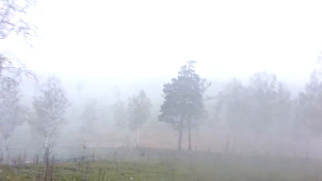 Май в Кемеровской области смотреть онлайн