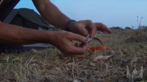 Простой способ приготовления лягушек