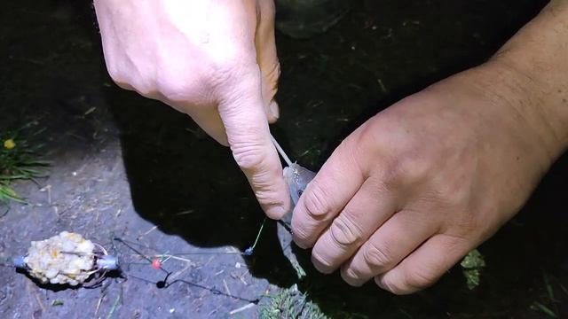 Рыбалка НСО. Сартлан. Зеркальный карп. Май 2022 смотреть онлайн