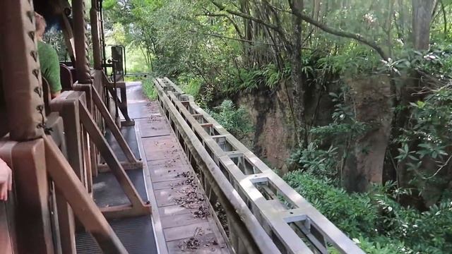 Top 6 Animal Kingdom Must Do's | Disney's Animal Kingdom Favorites смотреть онлайн