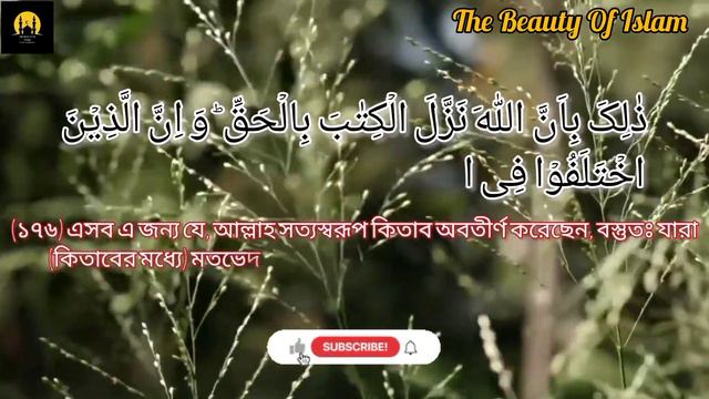 Sura Bakara Ayat 173-177. সুরা বাকারা বাংলা অনুবাদ সহ, Beautiful Quran #thebeautyofislamnan #video смотреть онлайн