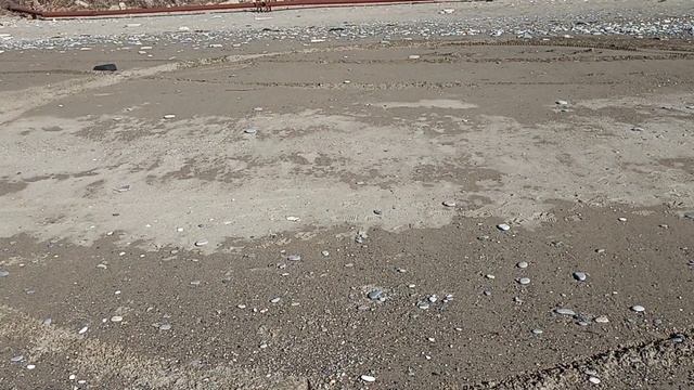 На зиму в Абхазию, день 60, часть 1. Прогулка вдоль моря смотреть онлайн