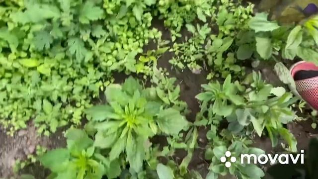 112ч?Установили трубу/Закатка огурцов/Брат с женой приехали на помощь смотреть онлайн