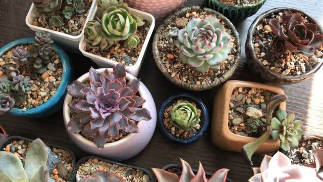 Стройка Формат