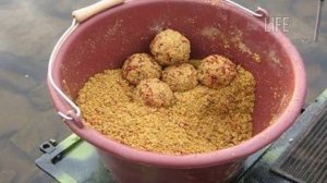 Карась дуреет от этой осенней прикормки! Прикормка для карася в сентябре своими руками!