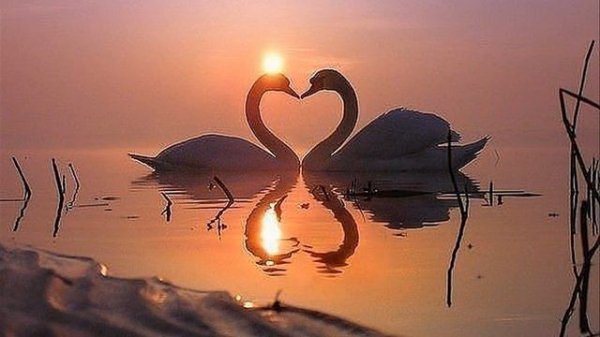 Цудоуная музыка Андрей Обидин