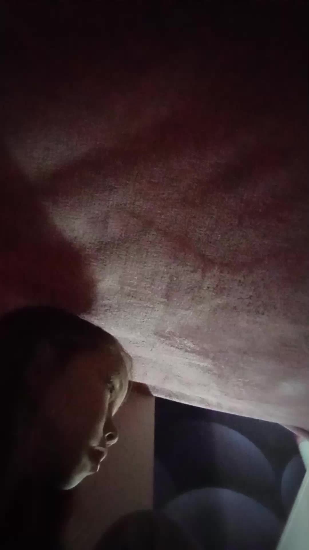 выключил камера смотреть онлайн