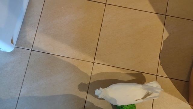 Анастасия. Приручение голубей смотреть онлайн