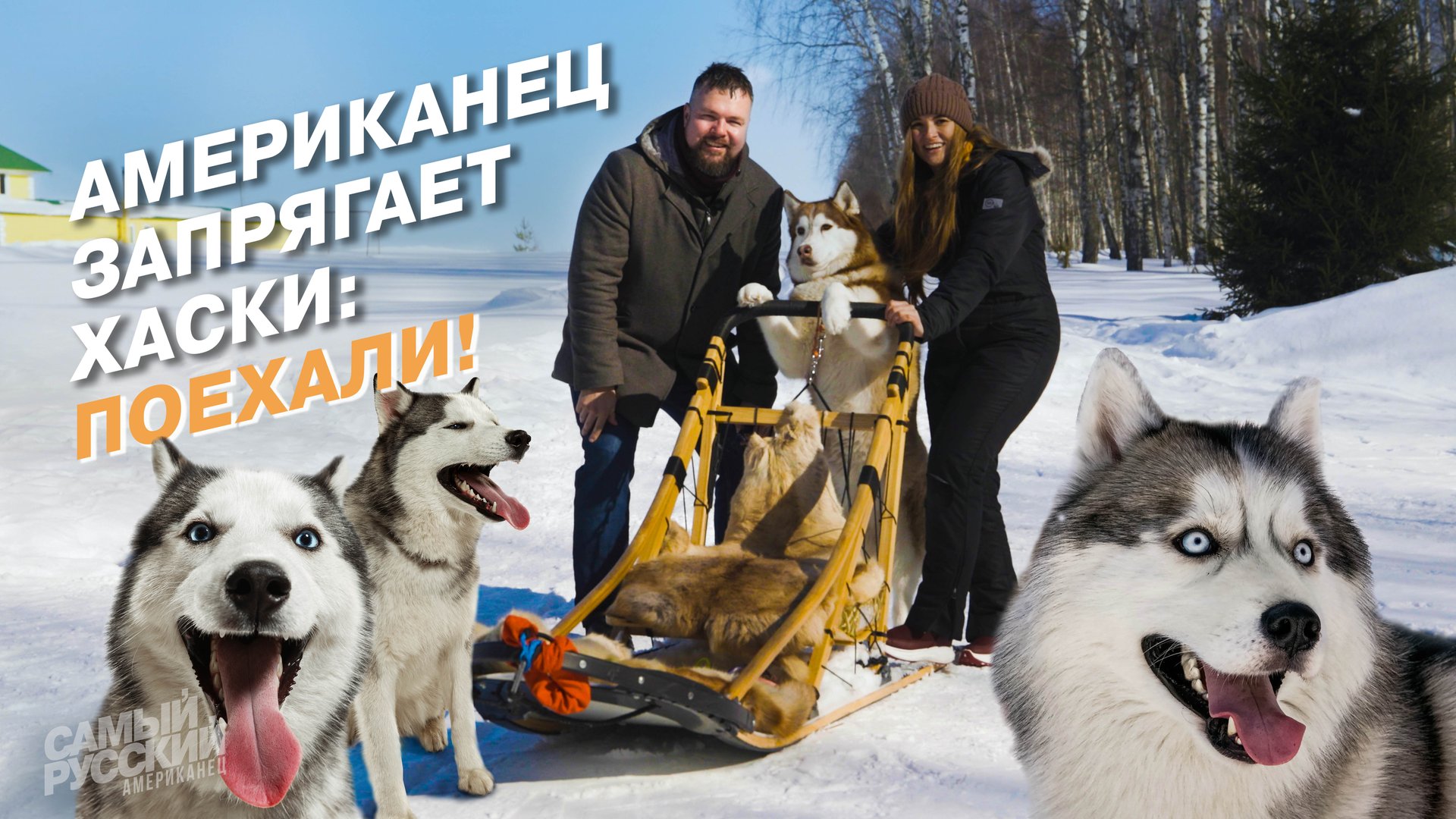 Американец подружился с русскими хаски смотреть онлайн