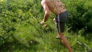 Как Поймать Ящерицу