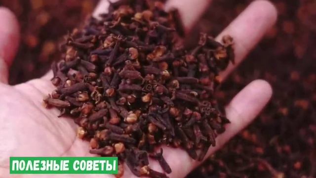 Техника для домашнего уюта и комфорта