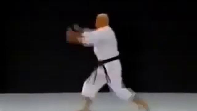 Ryuei-ryu karate all kata bunkai смотреть онлайн