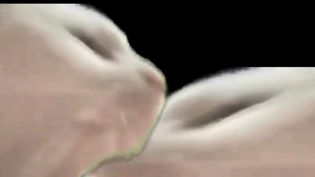 1 HOURS AGGRESIVE PHONK