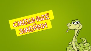 Смешная змея и червяки - кушай много!
Funny snake and worms - eat a lot!
