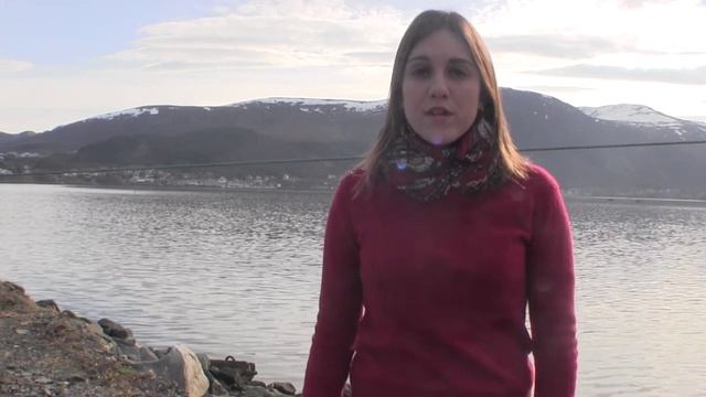Capítol 4 - Els vaixells del petroli смотреть онлайн