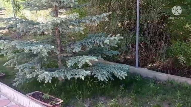 Иссык-Куль 2021 пансионат "Солнечный берег+" смотреть онлайн