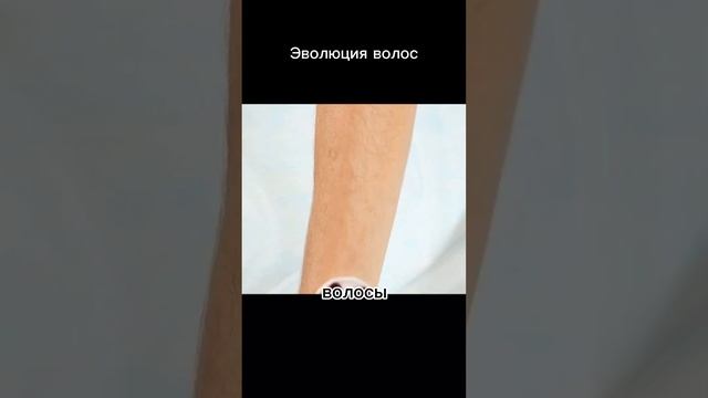 Зачем тебе нужны волосы на теле? #история #наука #эволюция #интересно #факты #человек #волосы #жизн смотреть онлайн