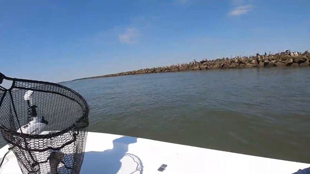 where the BIG GIRLS live - jetty fishing savannah ga смотреть онлайн
