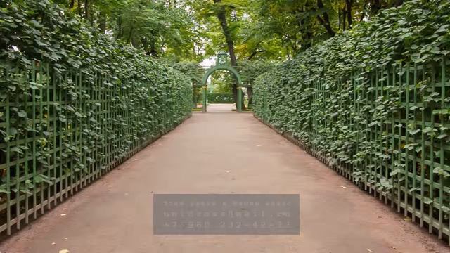Летний сад. Петербург. Футаж смотреть онлайн