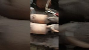 Замена гофр приемной трубы Ford Focus 3.#spb#fordmarket#механик#сварка#выхлоп#молодость#ford#