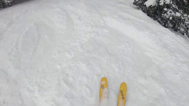 Tree skiing at Grand Targhee, March 2019 смотреть онлайн
