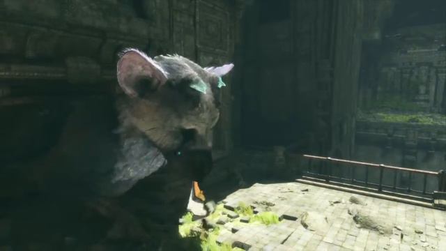 The Last Guardian; Leap of Faith смотреть онлайн