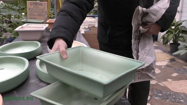 Керамический Горшок-Бонсайница. смотреть онлайн