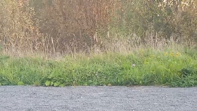 ВОЗВРАЩЕНИЯ КОРСАРОВ: ВЗРЫВАЕМ КОРСАРЫ НА ВОДОКАНАЛЕ смотреть онлайн